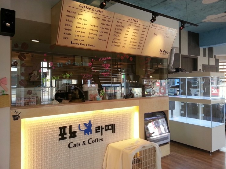 1948697120_9e2zt5wi_ed519c4eec35beb2cba7614474f5bad4f9bf54e4.JPG 이미지크게보기