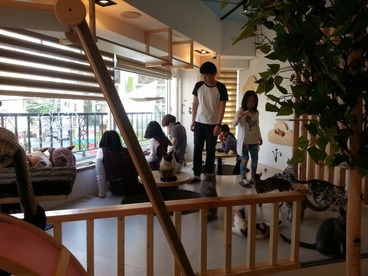 1948697120_hZvHyPTs_bbd16c3e60f92131fc3339b9fc256c2d6bb936b5.JPG 이미지크게보기