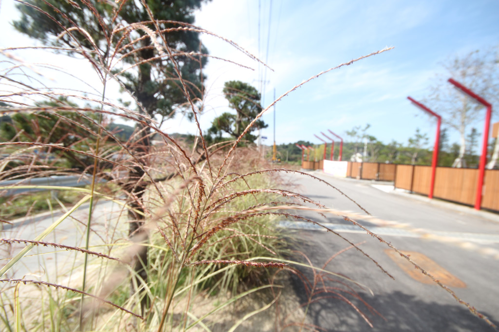 /user/n/niddesign/editor/2601/7122c7e449b17e48bd18b4ae5ab4cb56_1769520774_2132.jpg 이미지크게보기