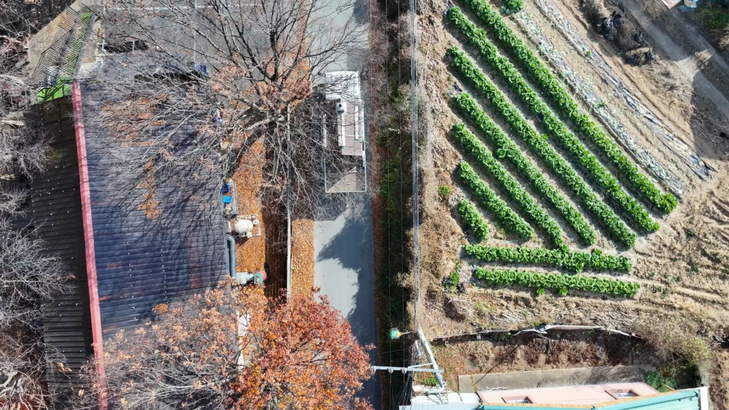 /user/n/niddesign/editor/2601/7122c7e449b17e48bd18b4ae5ab4cb56_1769525604_4461.jpg 이미지크게보기